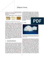 Adipose Tissue Index