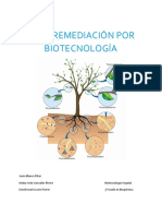 Fitorremediación Por Biotecnología