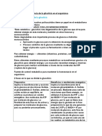 Metabolismo de Los Carbohidratos, RESUMEN