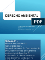 Derecho Ambiental PDF