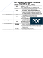 Plan de Trabajo Lider Juvenil 2017