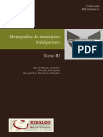 Municipios Hidalguenses Iii PDF