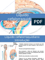 Líquido Cefalorraquidiano1 (Salvo Automaticamente)