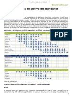 Manual Completo de Cultivo Del Arándanos