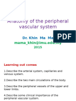 Anatomy of The Peripheral Vascular System - 2