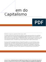 A Origem Do Capitalismo