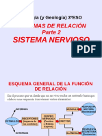 Biología 3ºESO: Sistema Nervioso