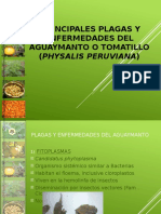 Principales Plagas y Enfermedades AGRO RURAL