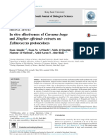 In Vitro Effectiveness of Curcuma Longa and Zingiber o Cinale Extracts On Echinococcus Protoscoleces