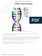 Ativação Do DNA, Atualização e Ascensão