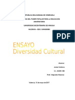 ENSAYO Diversidad Cultural