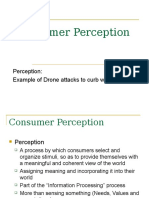 Consumer Perception (Marketing Subject)