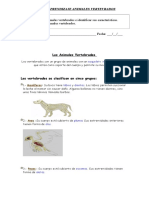 2º Basico Ciencia Guia Vertebrados