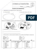 Examen de Matematicas.