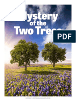 Mystery of The Two Trees