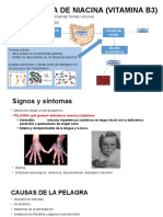 Deficiencia de Niacina Vitamina b3