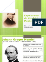 2 Mendel 120226183120 Phpapp01