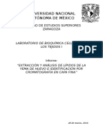 Extracción y Análisis de Lípidos de La Yema de Huevo e Identificación Por Cromatografía en Capa Fina