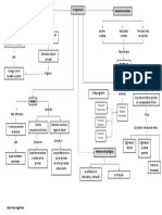 La Organizacion (Mapa Conceptual)