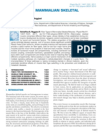 Fiber Types in Mammalian Skeletal Muscles