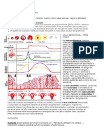 RESUMO Fisiologia Do Ciclo Reprodutivo Feminino