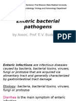 Lecture 1 - Enterics 15 Shortly