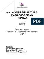 Visceras Huecas