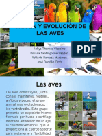 Diapo Evolución de Las Aves