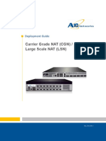 A10-Dg-Carrier Grade Nat CGN Large Scale Nat LSN