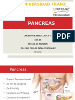 Cap 19 Pancreas