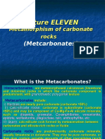 Metamorphic Petrology - Lecture XI