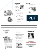 Leaflet Pneumonia