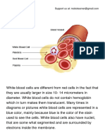 White Blood Cells (WBC) PDF