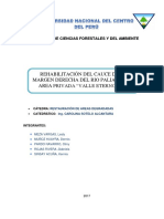 Informe Palian PDF