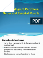 Pathology of Peripheral Nerve and Skeletal Muscle - DA