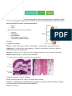 Anatopatologia - Esofago