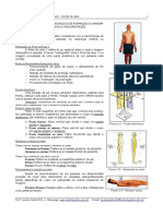 Incidências Especiais PDF