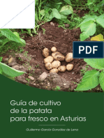 Guia Cultivo Patata PDF