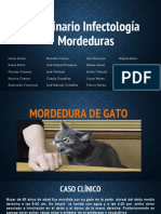 Exposicion Mordeduras