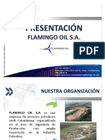 Flamingo Oil PDF