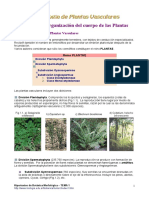 Tema1 PDF