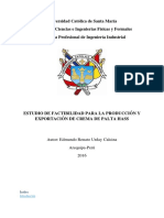 Plan Detesis Exportación y Producción de Crema de Palta