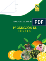 Citricosweb PDF