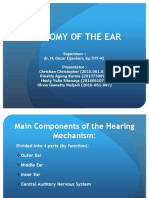 Anatomy Ear