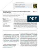 Antifungal Activity of Asparagus Extracts Against Phytopathogenicfusarium Oxysporum