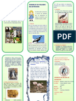 TRIPTICO Animales en Peligro de Extincion