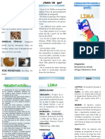 Triptico Lima PDF