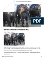 Dairy Project Report With 50 Murrah Buffaloes - Agrifarming