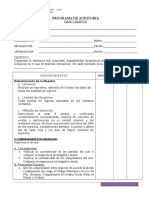 Programas de Auditoria Financiera