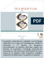 Genetica Molecular